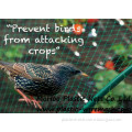 plastic BOP anti bird net&mesh fruit&garden protect net&mesh agriculture anti bird net&mesh(factory)